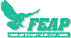 Logo FEAP